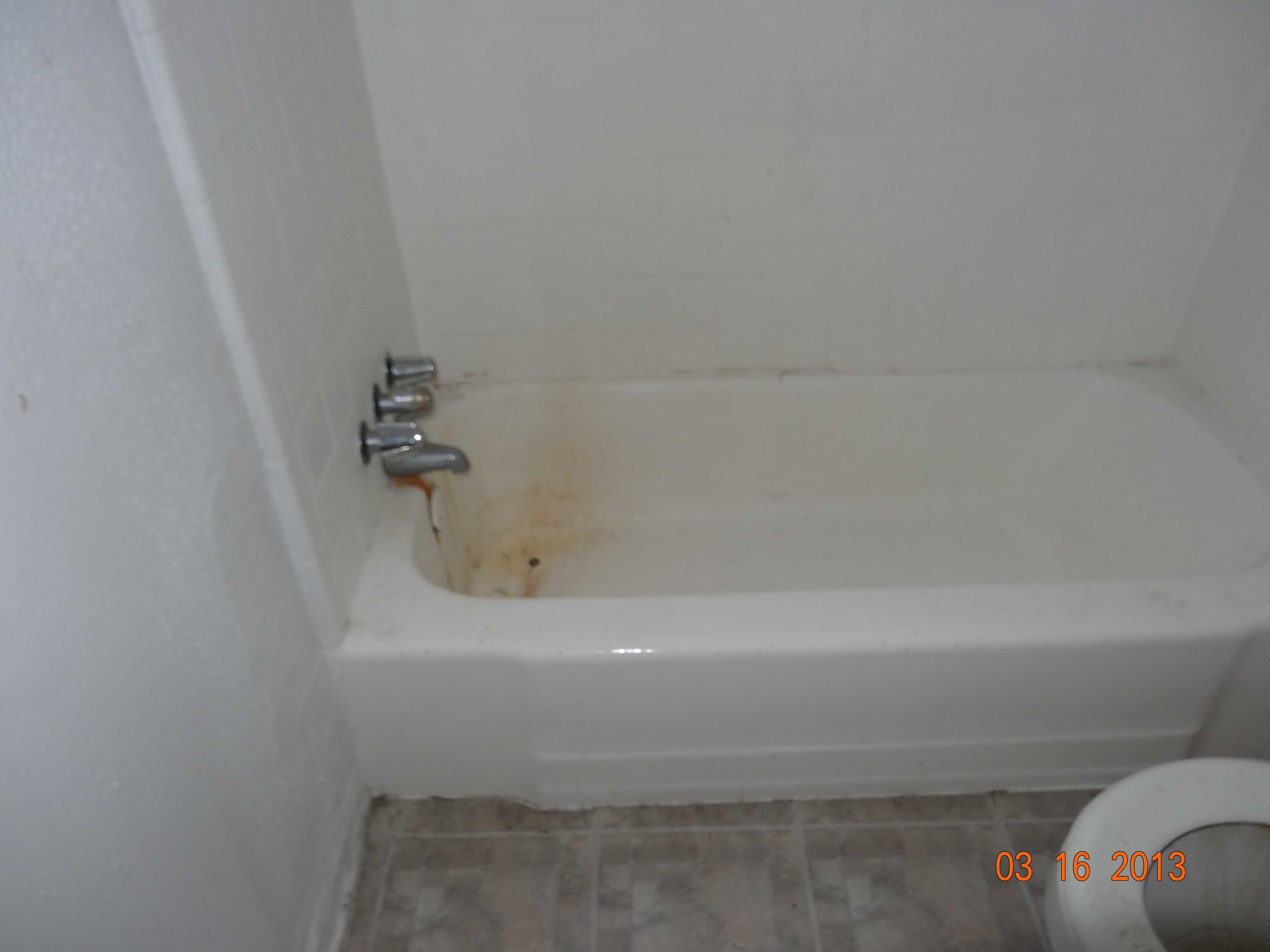 The Shavelson Tub Before